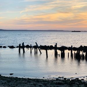 Meet your Posher, Hazel